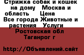 Стрижка собак и кошек на дому.  Москва и область.  › Цена ­ 1 200 - Все города Животные и растения » Услуги   . Ростовская обл.,Таганрог г.